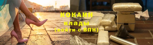 крисы Вязьма