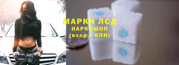 крисы Вязьма