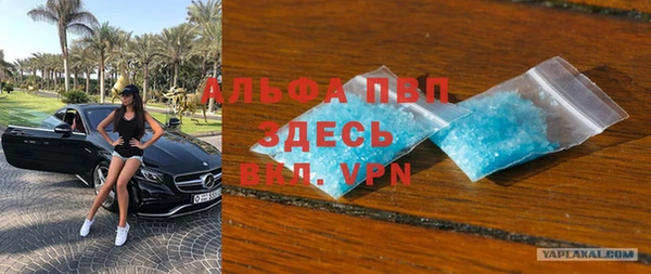 крисы Вязьма